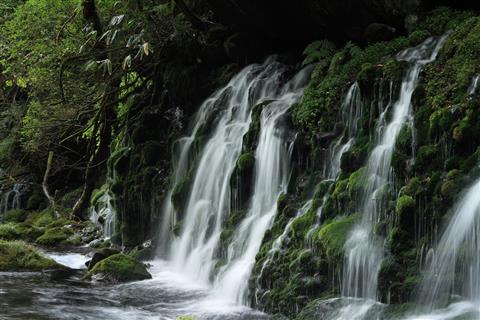 元滝伏流水